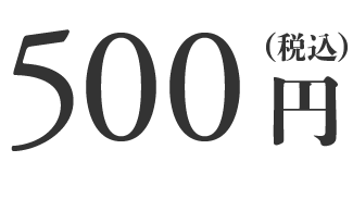 500円（税込）